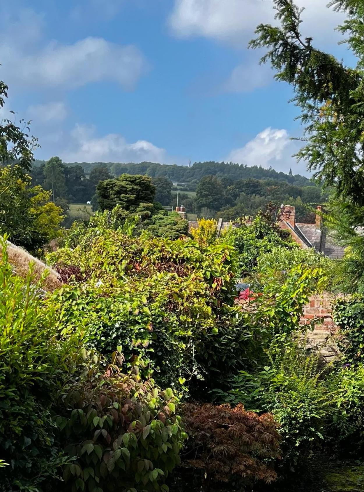 Bell Cottage By Ludlow Castle With Onsite Parking Εξωτερικό φωτογραφία